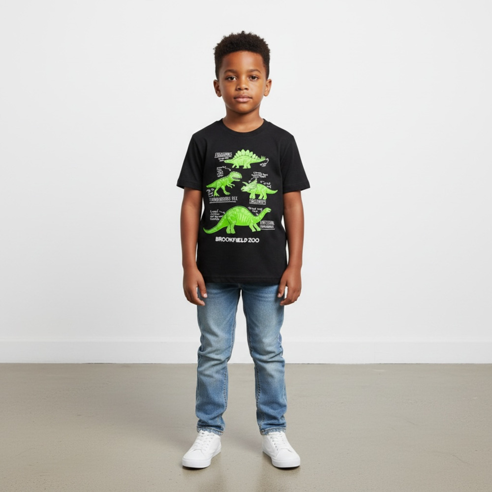 Boy's Jurassic World Dinosaur Party Time T-Shirt - Black - Medium : ,